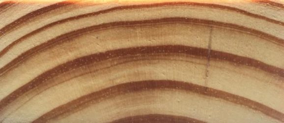 What is Wood Grain | SPIB Blog | Southern Pine Inspection Bureau